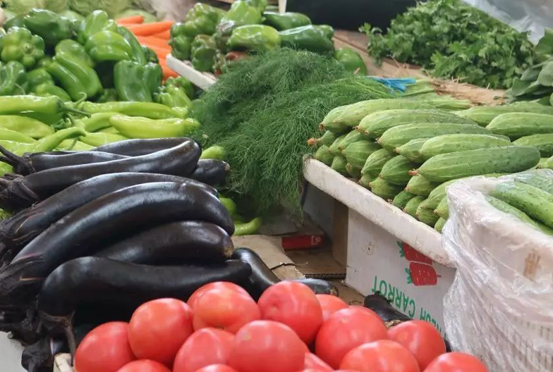 3月份有哪些蔬菜可以播种,3到10月适合种植哪些蔬菜