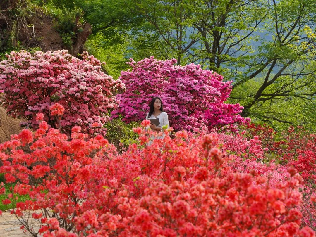 五一假期相约,五一相约一起嗨舞