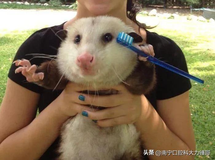 做好这5点远离胃病,做好这五件事避免口腔癌找上门