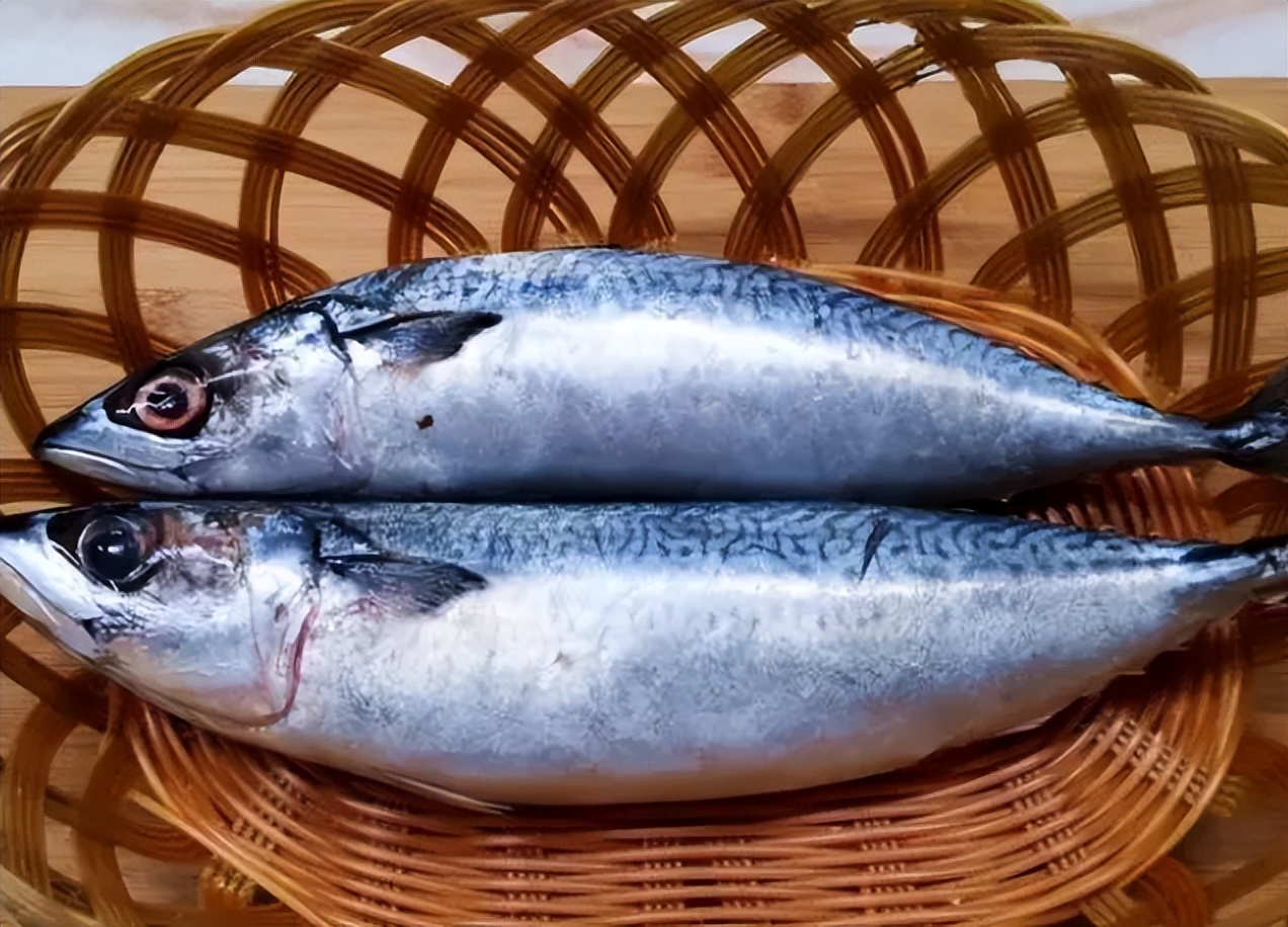 五月份什么海鲜上市,5月份什么海鲜比较多