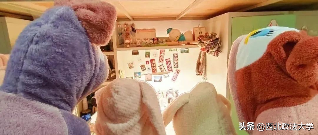 你为什么考研选择西法大,为什么选择西法大