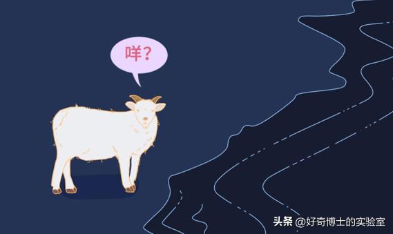 吃补阳气的中药后身体有哪些变化,吃了药身体会发生什么变化