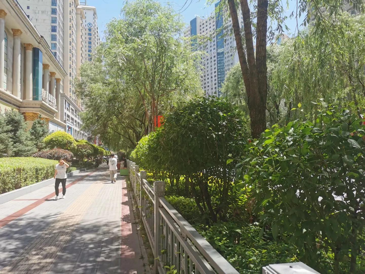 西宁印象旅行社,西宁印象摄影工作室