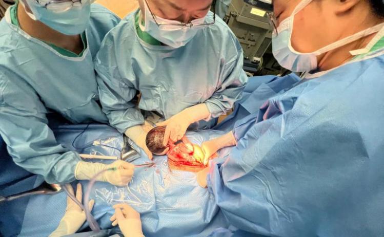 哈尔滨治宫颈癌最权威的医院,哈尔滨医大二院宫颈癌治疗