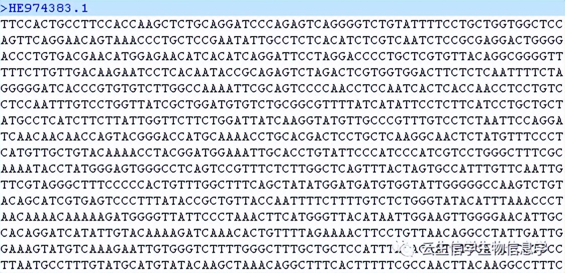mega6软件使用教程视频,使用mega软件