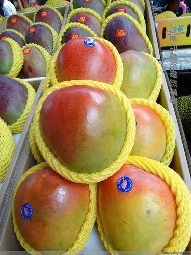 中国各省十大水果排行榜,中国六大水果产区地图