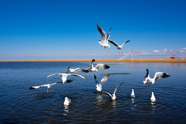 璐典汉鎵朵竴姝ヨ儨杩囦綘璧扮櫨姝ョ殑淇楄,璐典汉鎵朵竴姝ヨ儨杩囧崄骞磋矾涓冨緥