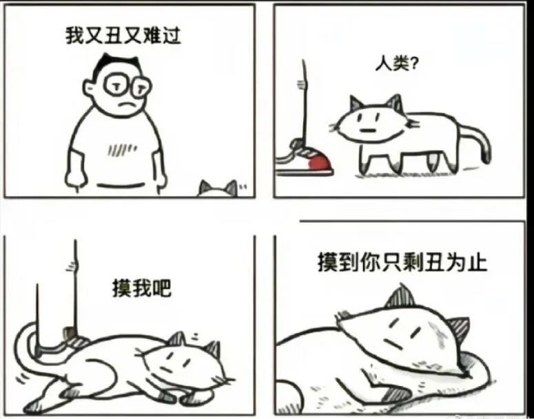 西瓜奇葩搞笑图片,超级搞笑吃西瓜笑的肚子都疼了