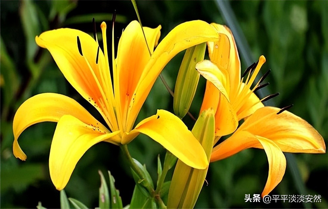 老婆出轨了不承认还要离婚怎么办,老婆精神出轨了要坚决离婚怎么办