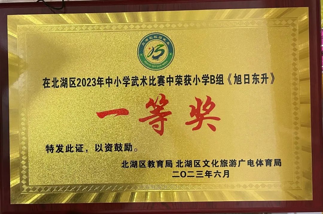 南燕小学,郴州市南燕小学成绩排名