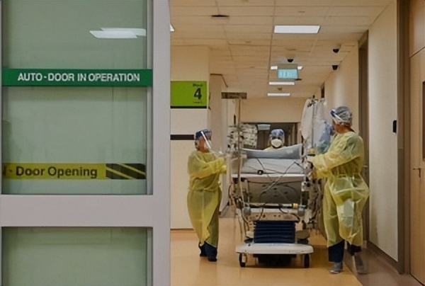 新加坡新冠确诊病例超3万例,新加坡新冠每日确诊人数