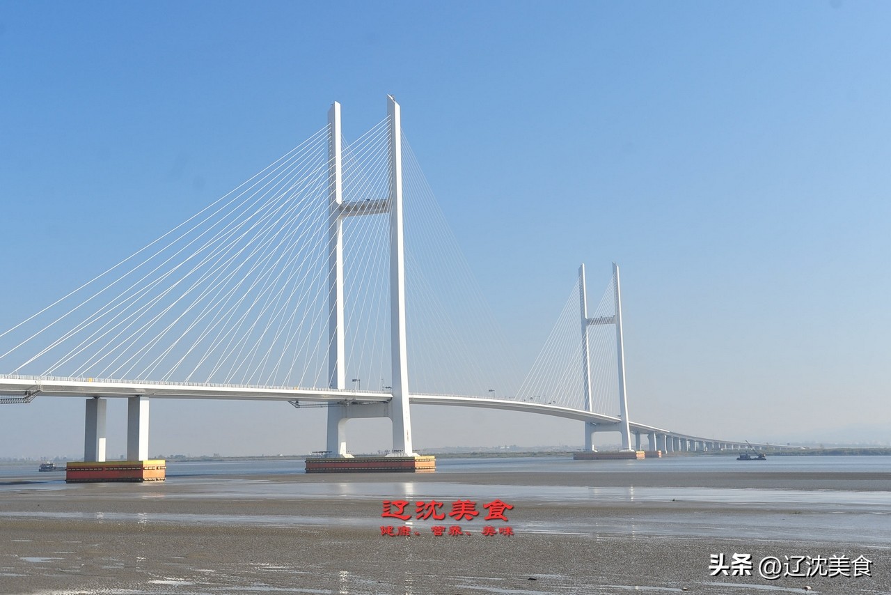 辽宁最好吃的海鲜在哪,辽宁海边海鲜哪里好吃