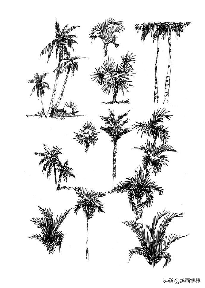 零基础不懂得绘画,速写风景简单入门视频树木石头