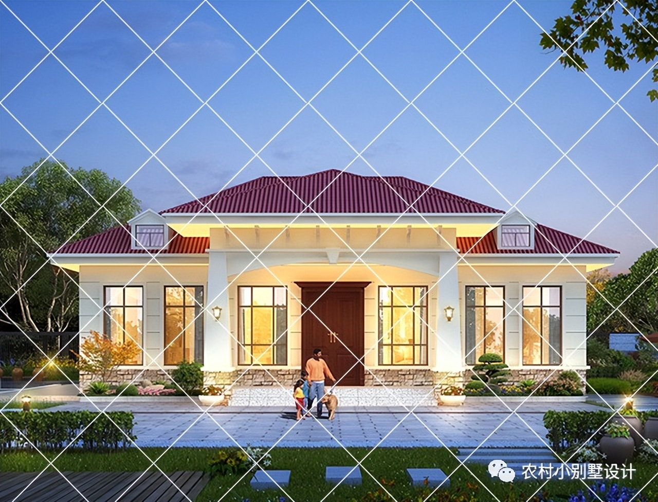 一层半层小别墅新款农村自建房,农村自建房一层别墅设计最新款