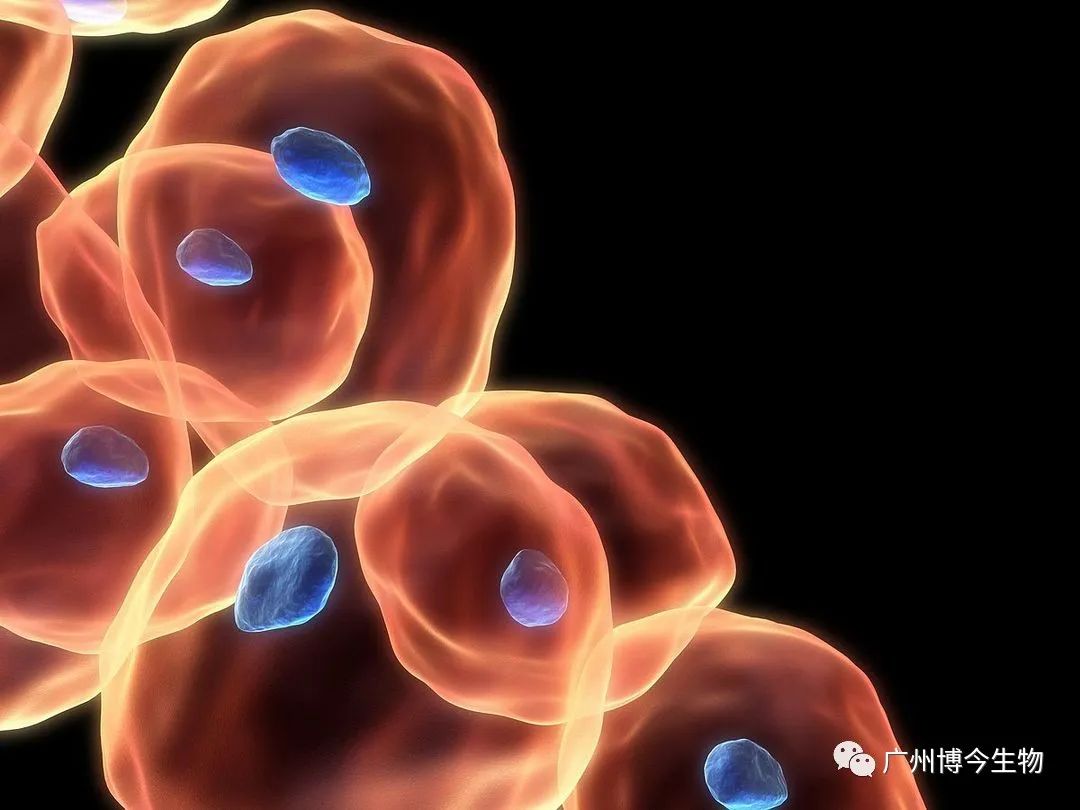 皮肤催老剂大揭秘，都帮你总结在这篇了