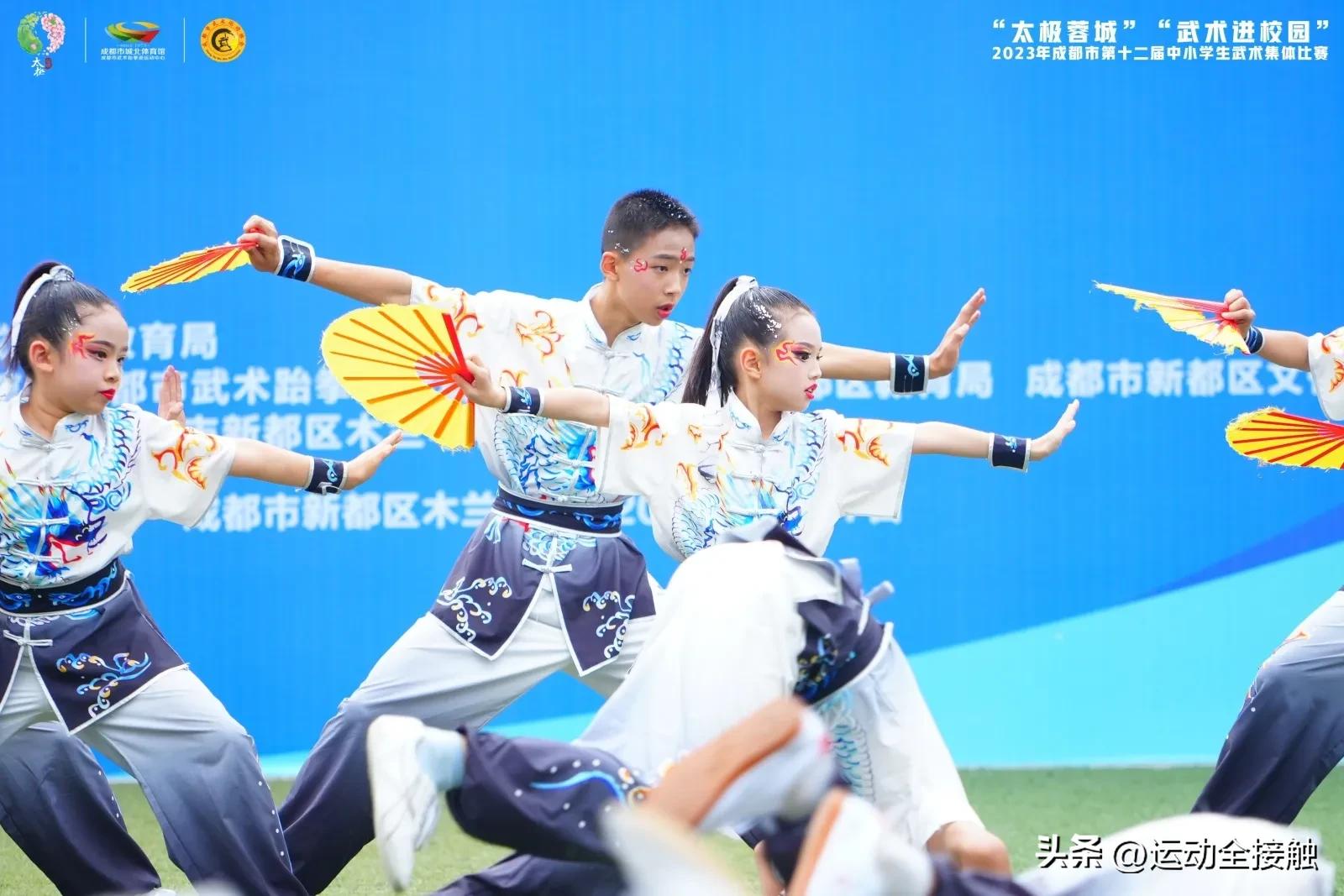 四川省学生武术公开赛,2019年四川省青少年武术比赛