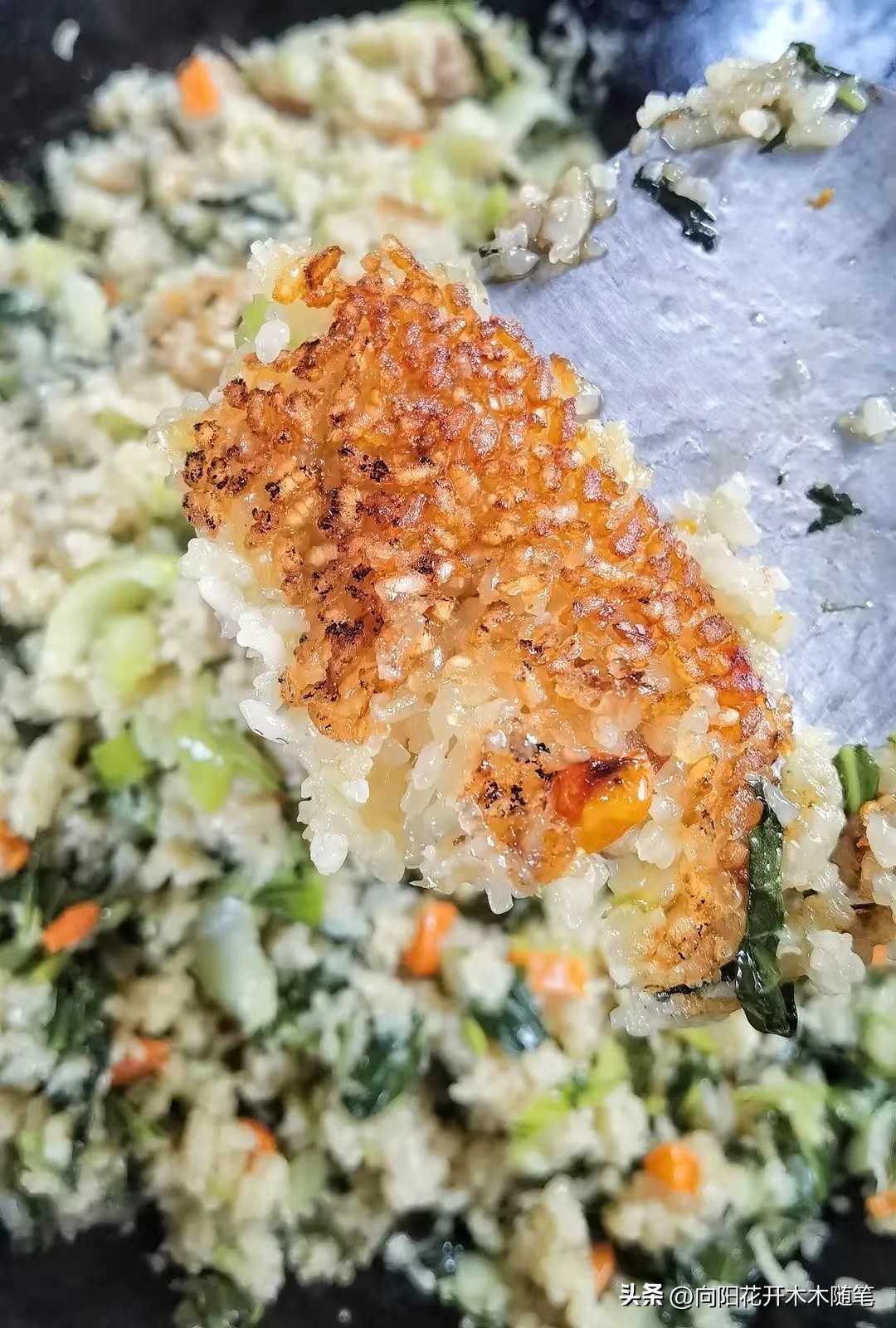 浦东美食排行榜茶餐厅,浦东高级美食排行榜