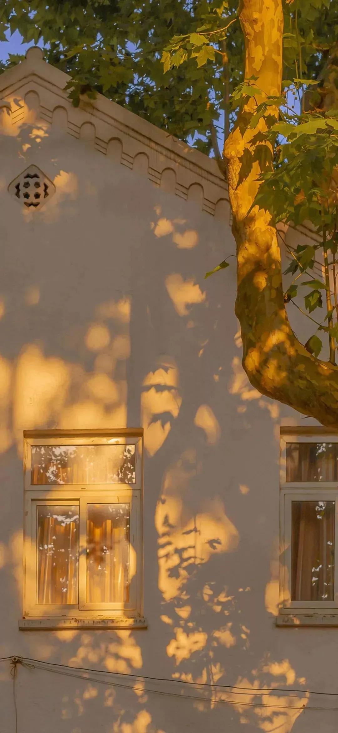 高清壁纸：黄色系治愈壁纸