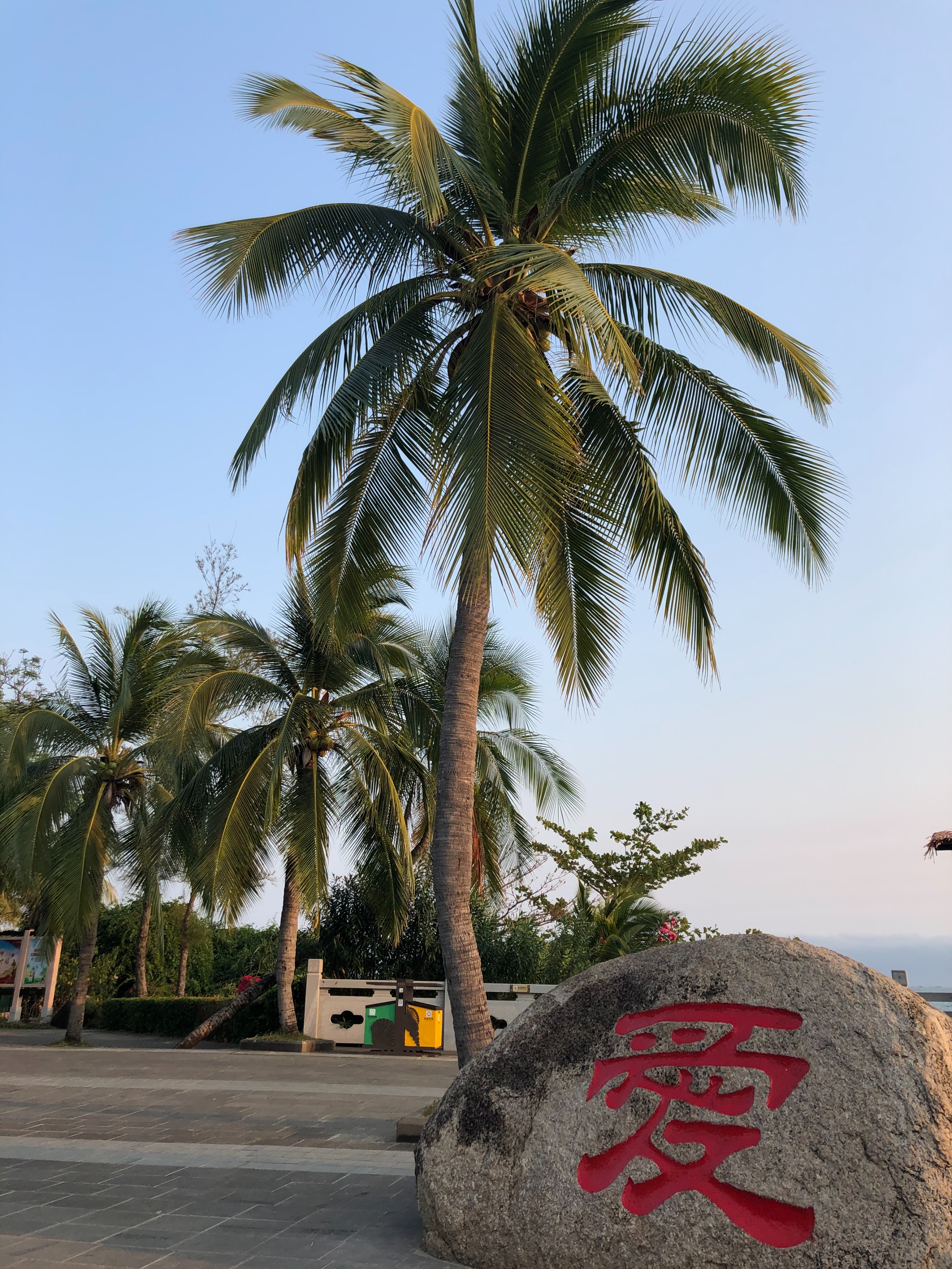 母亲节妈妈礼物100元,母亲节妈妈50-60岁礼物衣服