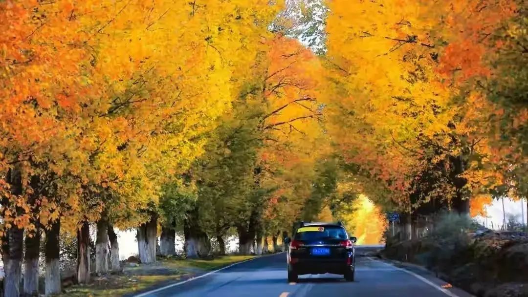 稻城亚丁啥时去最好,去稻城亚丁啥时候去最好