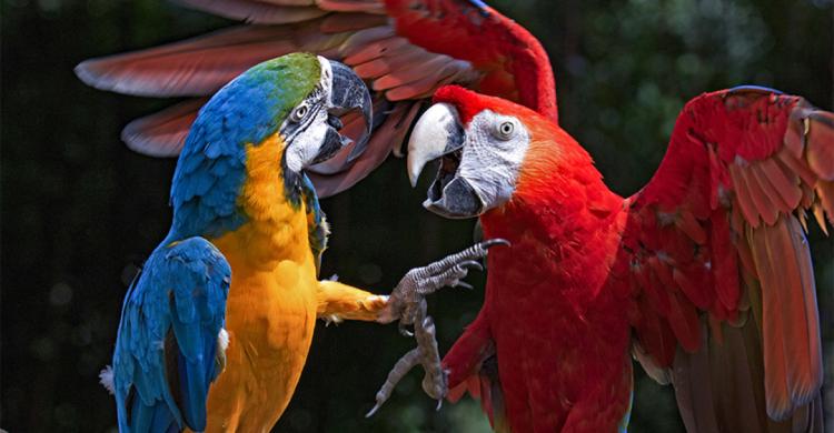 广州长隆酒店童趣乐园,广州游玩长隆性价比超高的酒店