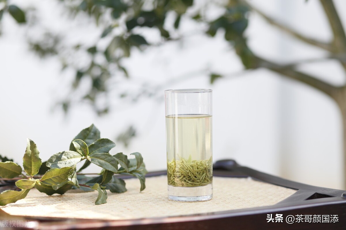 这几种绿茶级别你能忍到哪个,哪些绿茶各方面都很相似