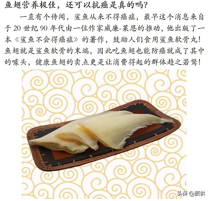 人类为什么只吃鲨鱼,为什么人类只吃鱼翅