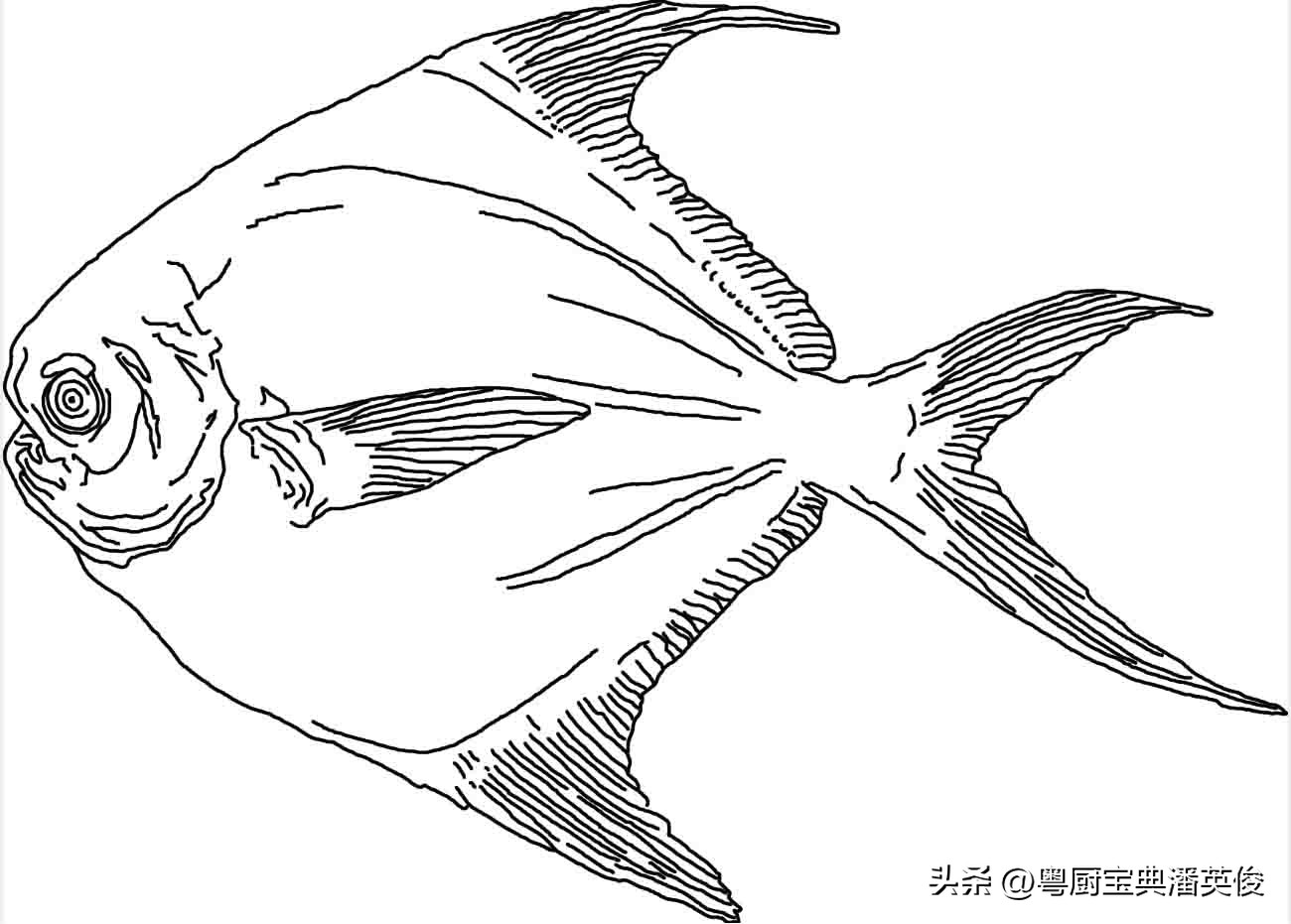 食材知识学习,食材知识视频教程