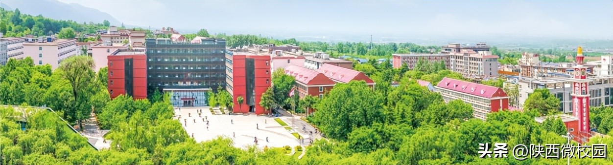 陕西2022美术艺考生怎么填报志愿,陕西美术类报考志愿填报