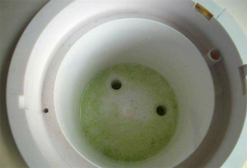 饮水机脏了从哪个位置拆下来洗,饮水机里的水比马桶还脏