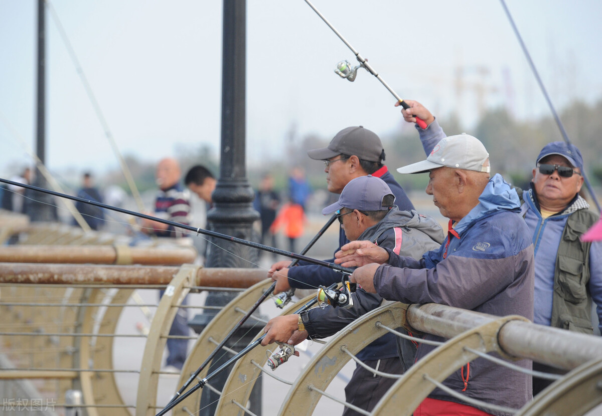 老王头生活无忧，康复后想学钓鱼，哪个垂钓技巧更容易上手？