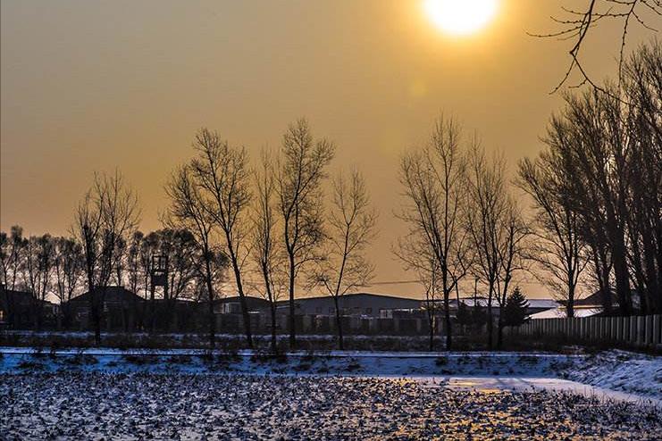 钱红艳读后感800字,钱红莉散文风格