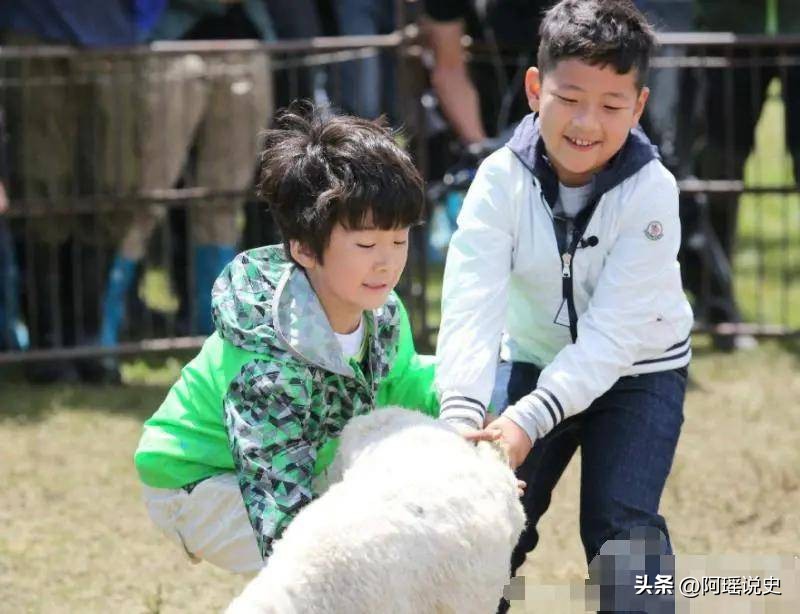 爸爸去哪儿12岁康康身高,爸爸去哪儿第一季石头天天