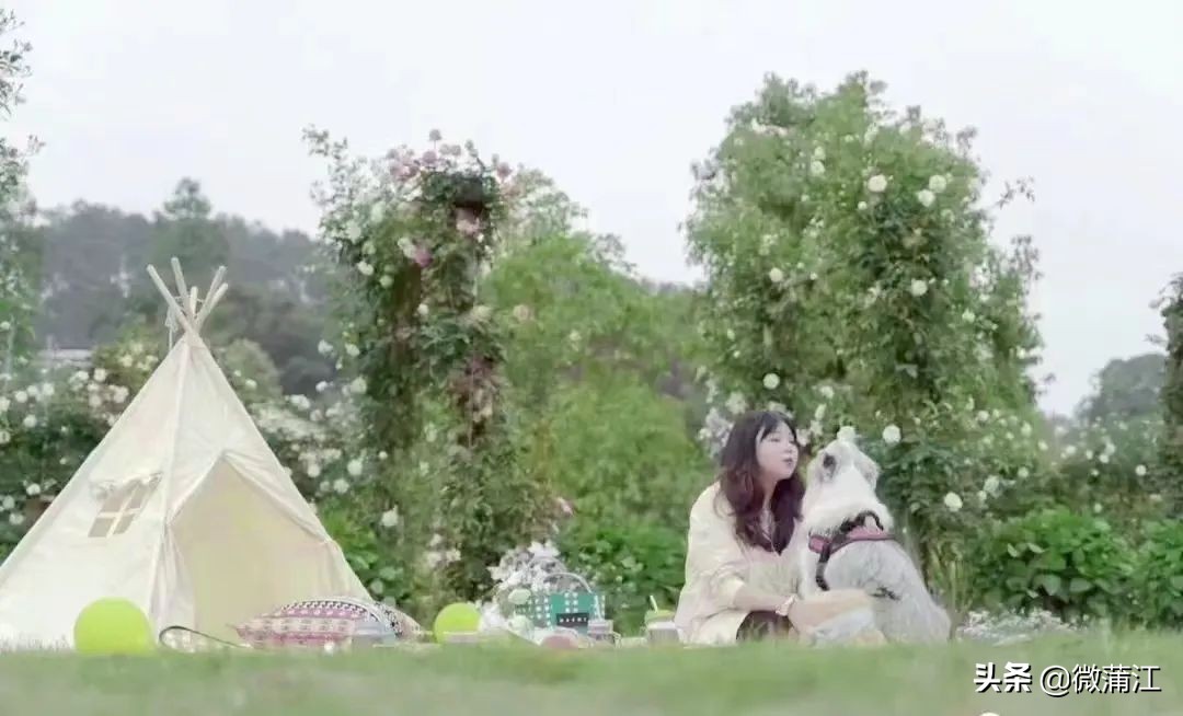 朝阳湖云端绿道,朝阳湖绿道