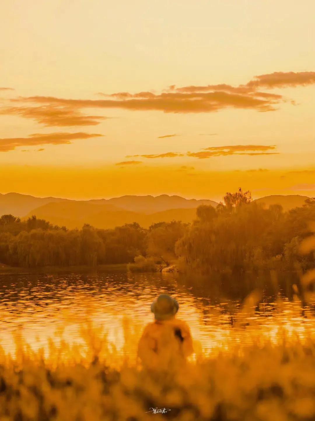 写作三步,写作三要素一年级