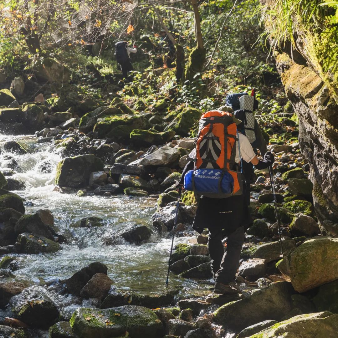 登太白山感受,太白山景区登顶拔仙台