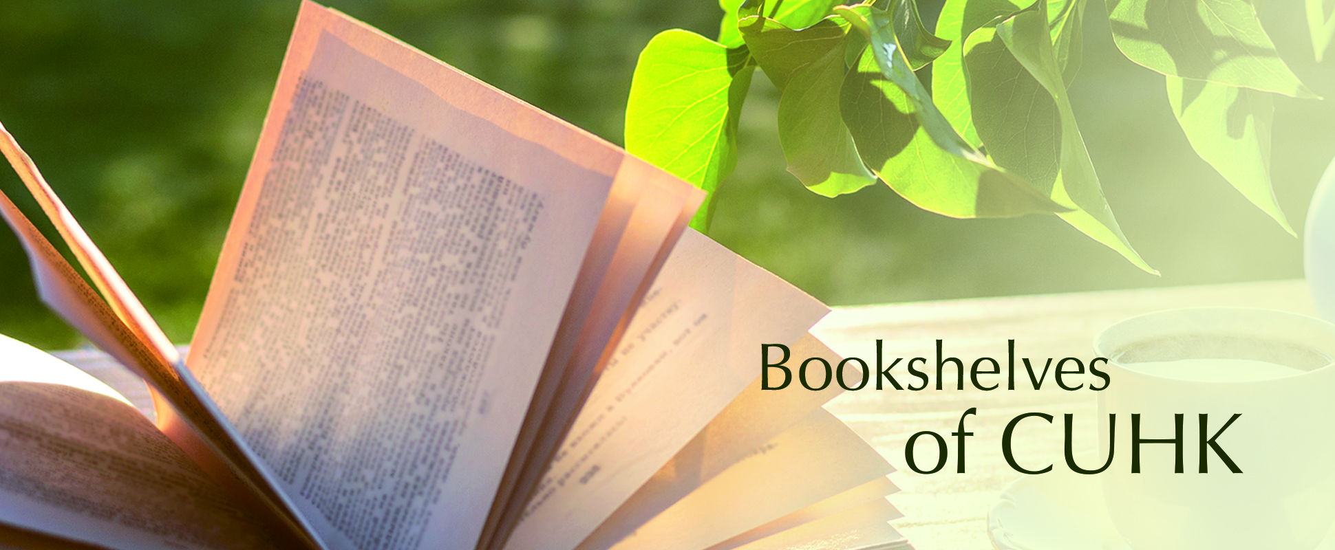 港中文硕士在北京认可度,港中文为什么叫中文大学