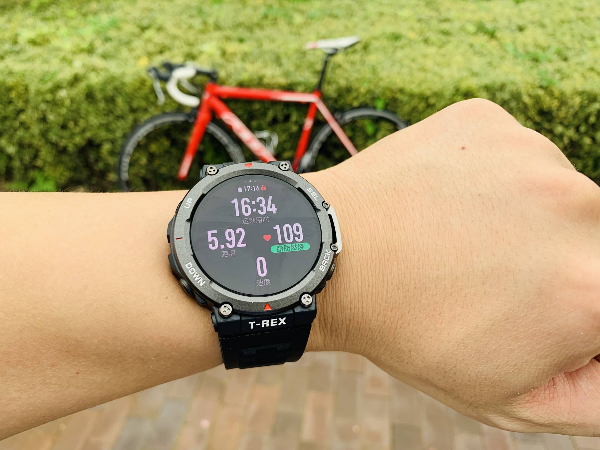 卡西欧手表测评中国龙白,卡西欧独角兽系列的手表测评