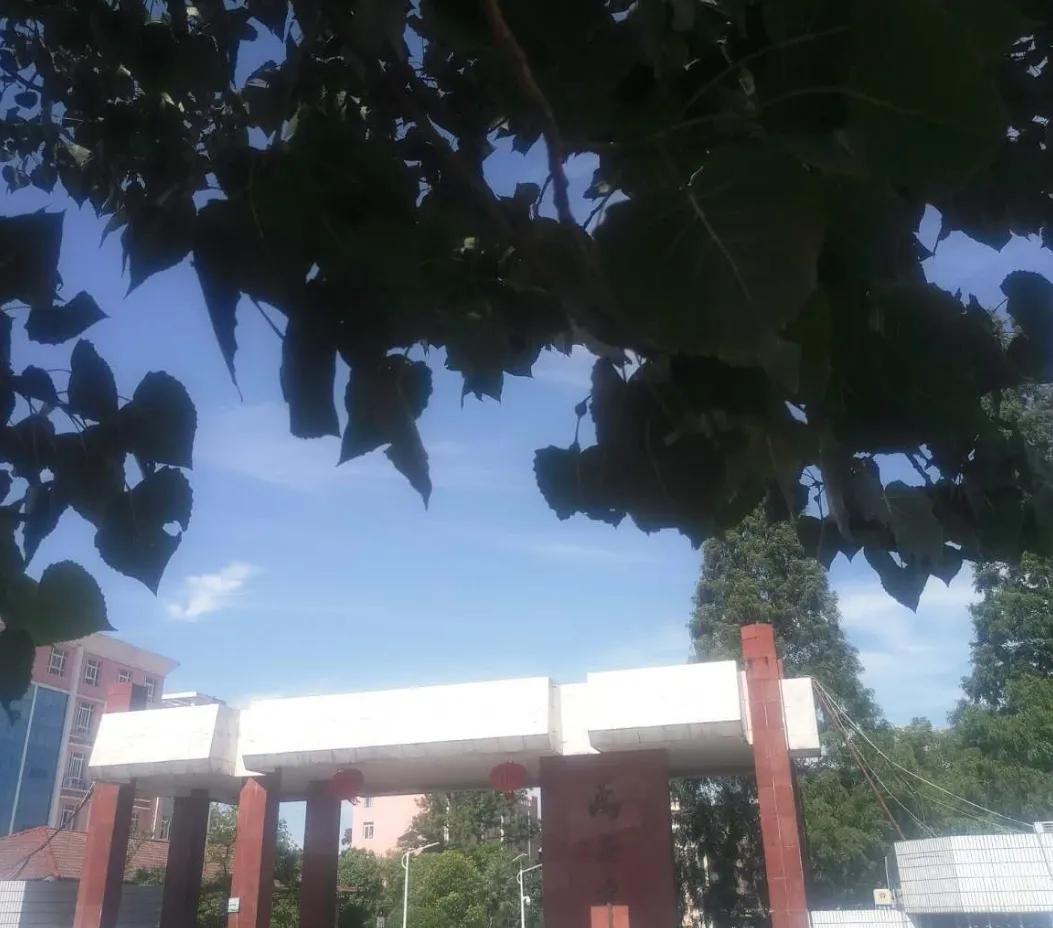 江西省万安中学分校,江西万安初中学校