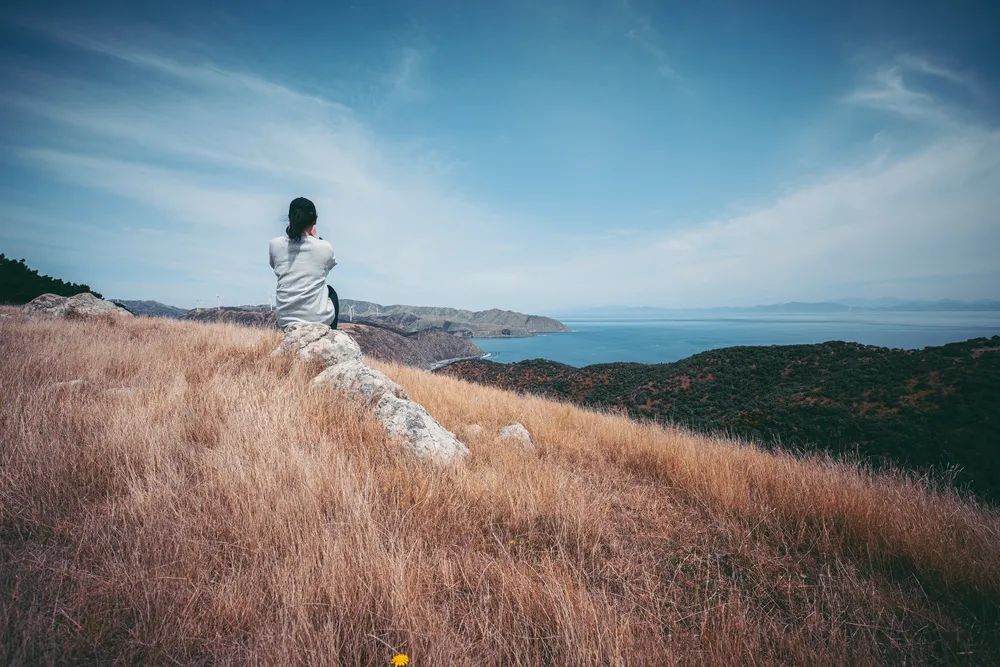工作的最高境界做个皮实的人,用心去工作做一个有责任的人