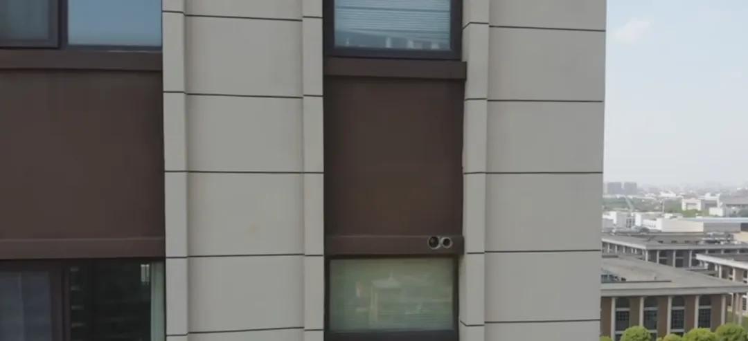 高港一居民家天花板吊顶上竟来了一群不速之客，还散发出阵阵异味……