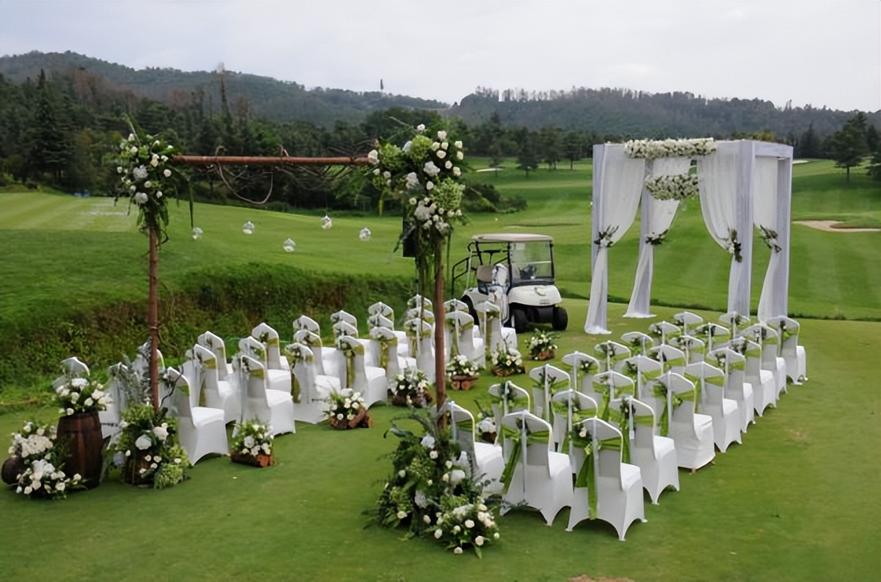 人工球场和天然球场,环境最好的野球场