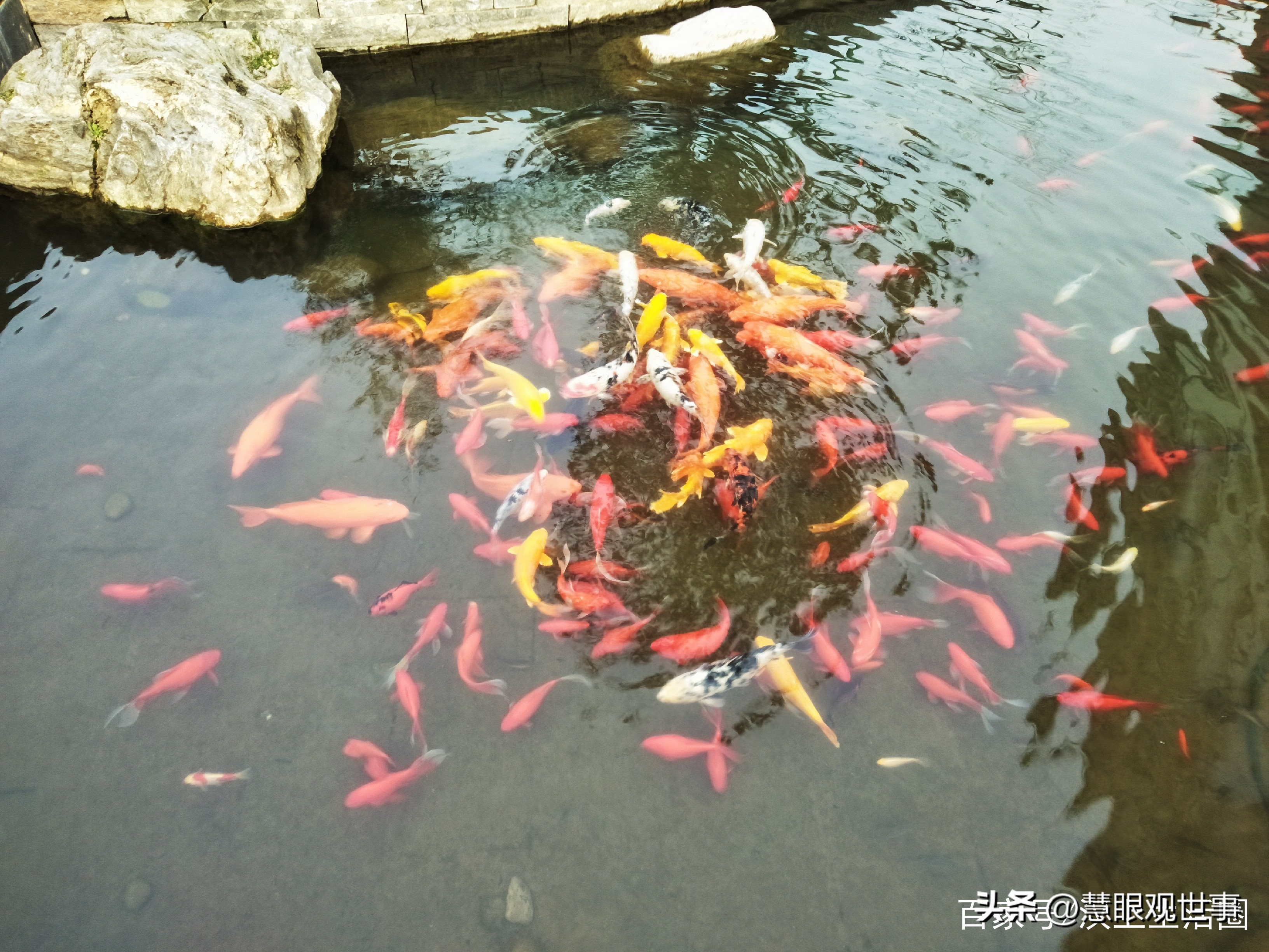 语文古诗词必背大全,古诗词考试必背诗句