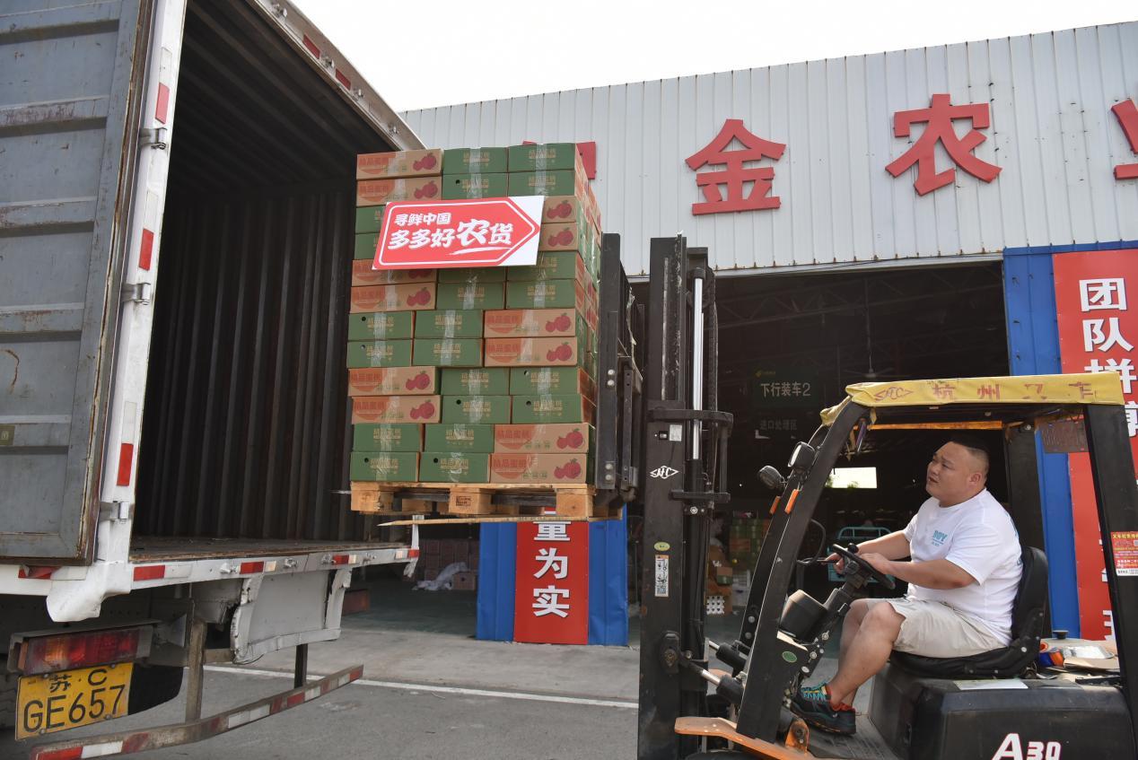 脆甜多汁、线上卖爆,油桃成了果农“摇钱树”