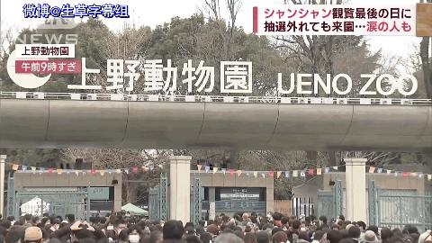 多少人关注丫丫,现在有多少人在关注丫丫