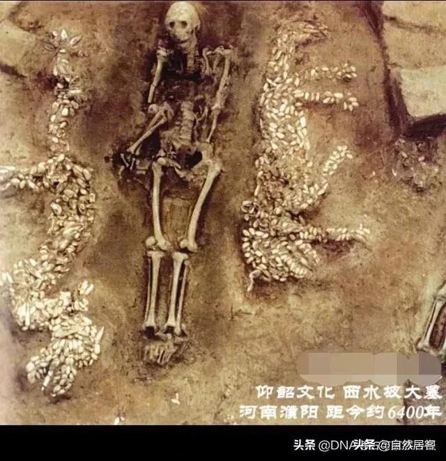 #你知道华夏文化是什么时候开始断代的吗?#