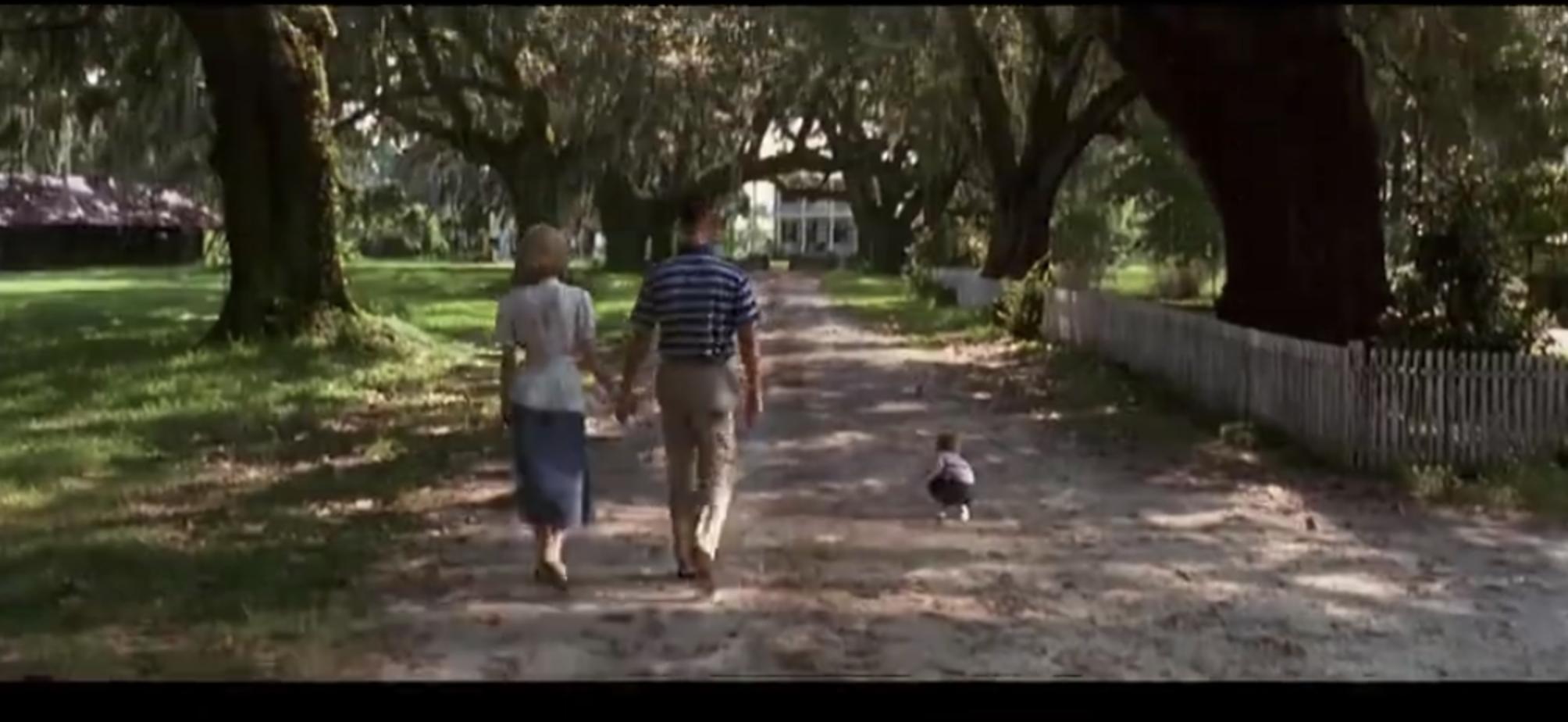 如何看待阿甘正传中的爱情,阿甘正传友谊爱情的感悟