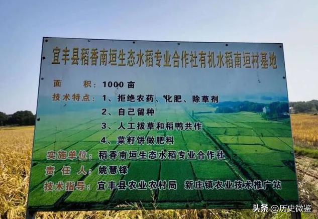 放弃年薪20万回家种地，气走父亲，几年后农产品销售额超600万