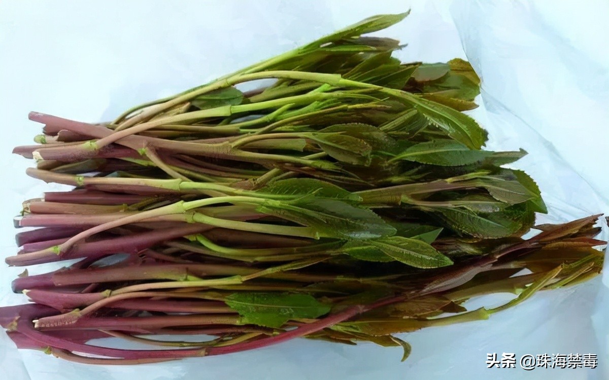 3.15曝光的假货最全名单,3.15打假宣传现场照片