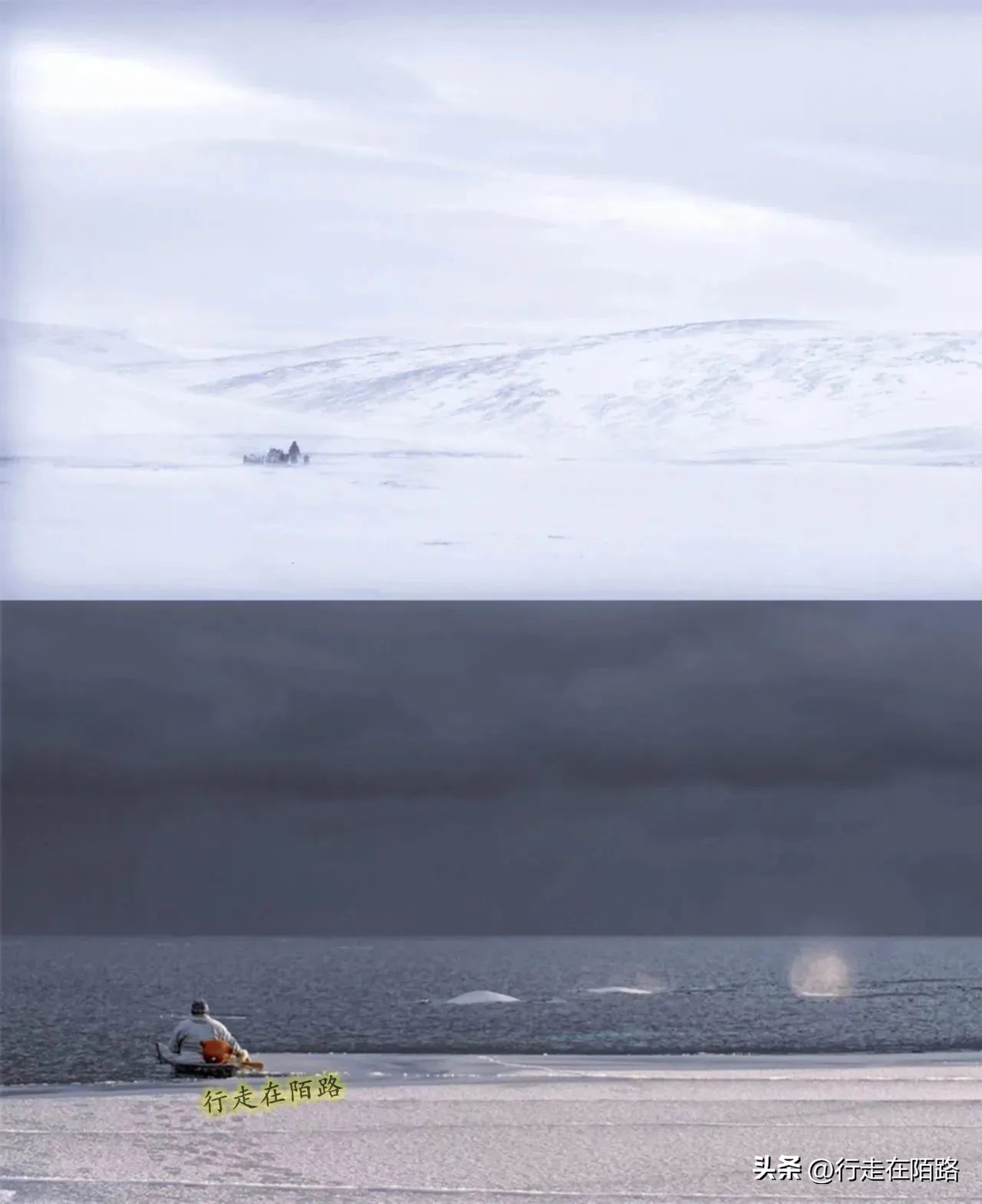 被老外忽悠的因纽特人,因纽特人被忽悠拍摄